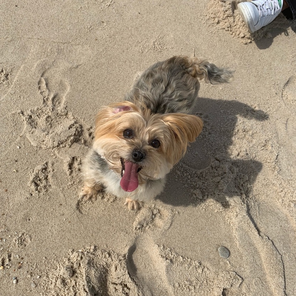 Meet your Posher, Jamie